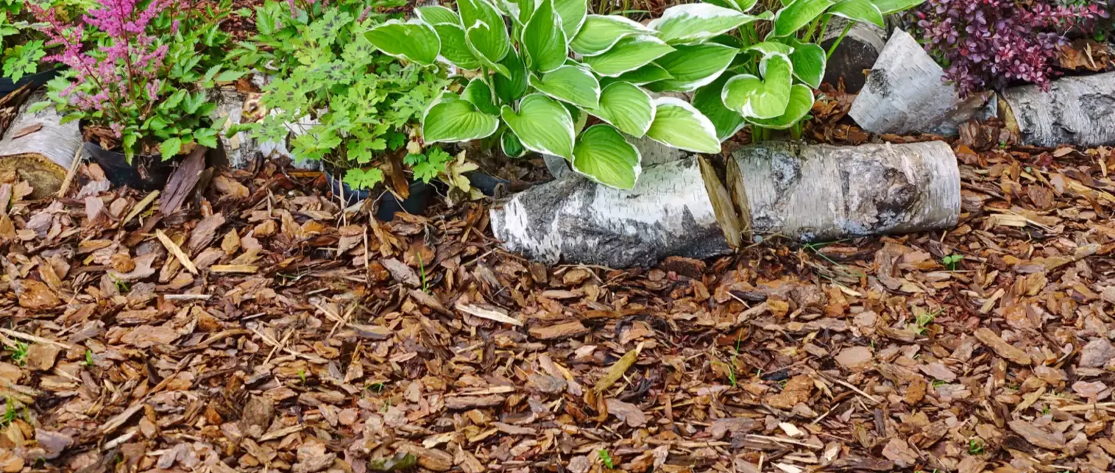 Master Your Garden's Natural Finish